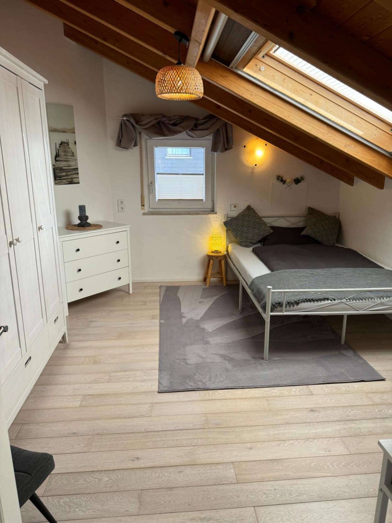 Spacy 3 Bedroom Plus Sleeping Couch Apartment Work&Travel Close To Heidelberg Dielheim 外观 照片